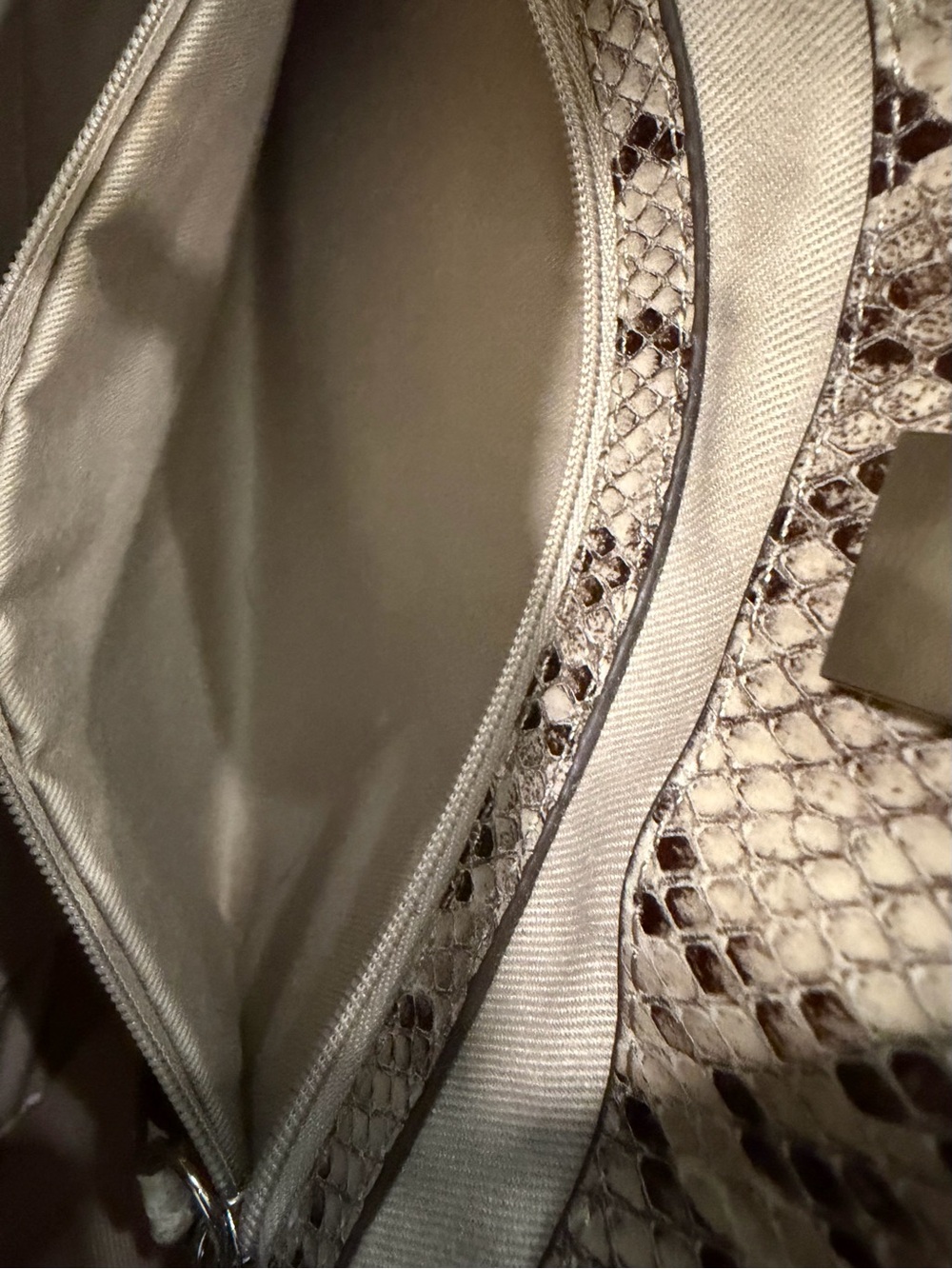 The Limited Beige Snake-Print Clutch - Picture 11 of 15